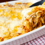 Lasagna meets beef stroganoff in this recipe. Once you read about the story behind this dish, you'll see that it really is a Husband's Delight Casserole!