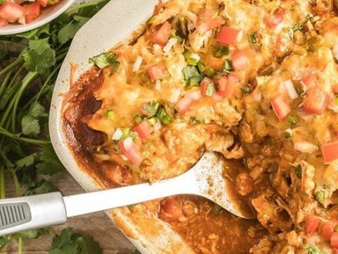 Image for Layered Chicken Enchilada Casserole + Video